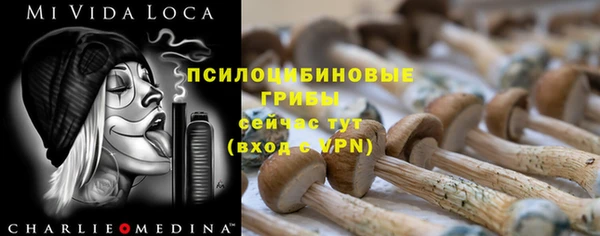 mix Арсеньев